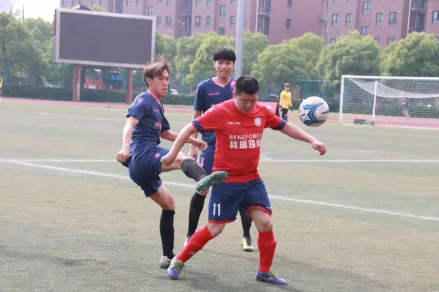 3377体育下载